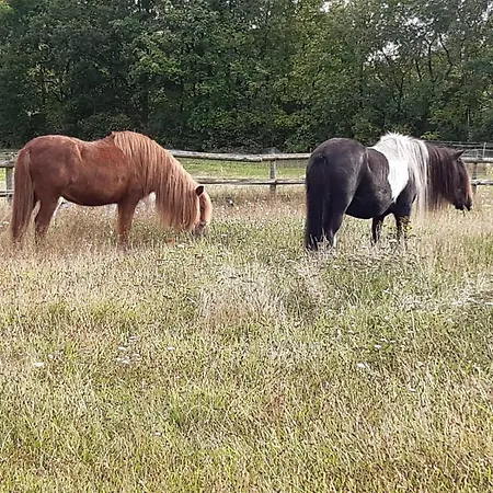 Gaestezimmer Vermietung Reinstorf
